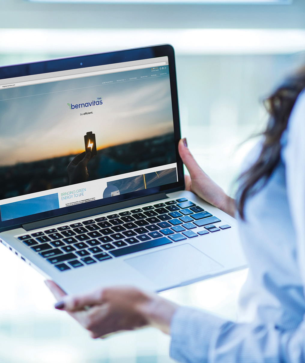 Website TDG Ibernavitas
