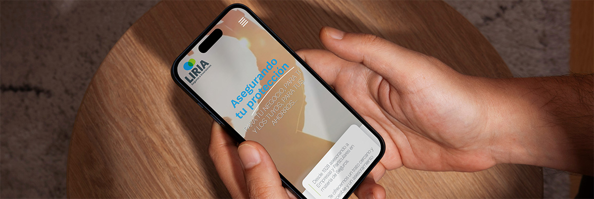 Website Agencia Liria